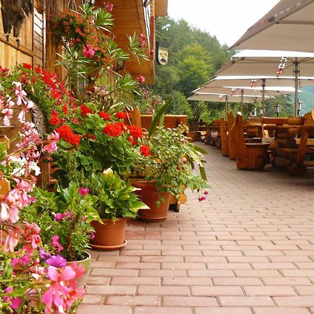 Pension Curmatura Stezii Răşinari Exterior foto