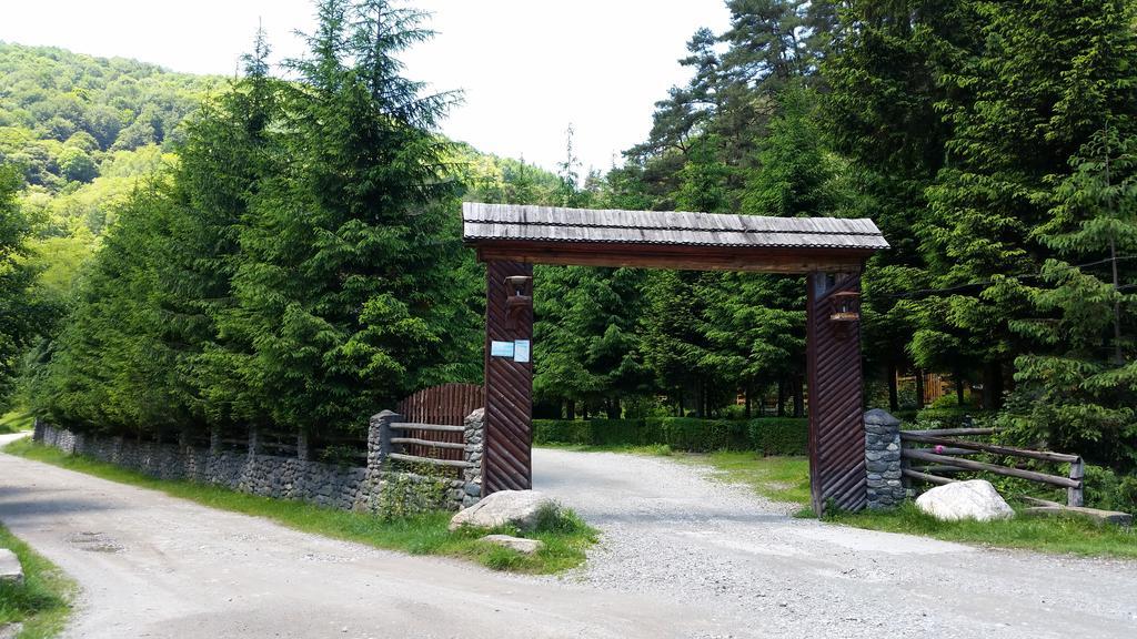 Pension Curmatura Stezii Răşinari Exterior foto