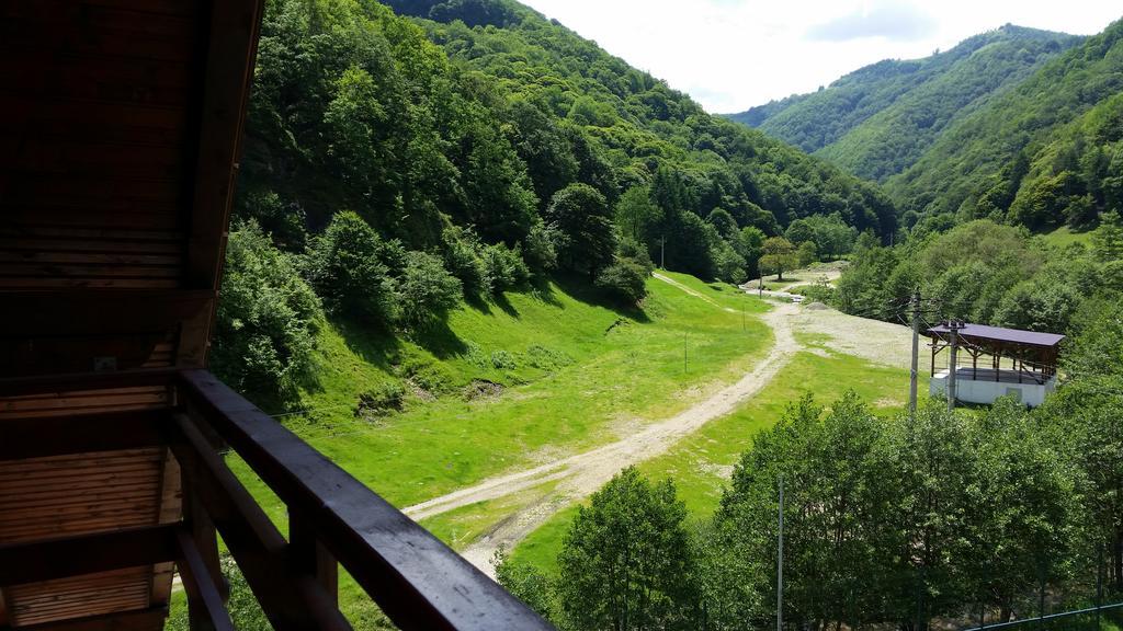 Pension Curmatura Stezii Răşinari Exterior foto